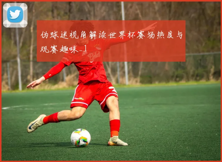 伪球迷视角解读世界杯赛场热度与观赛趣味_1