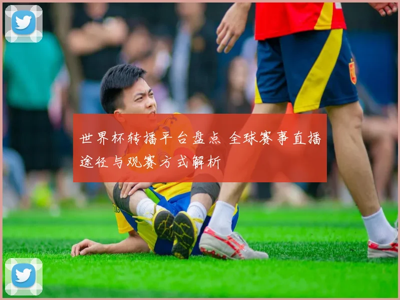 世界杯转播平台盘点 全球赛事直播途径与观赛方式解析