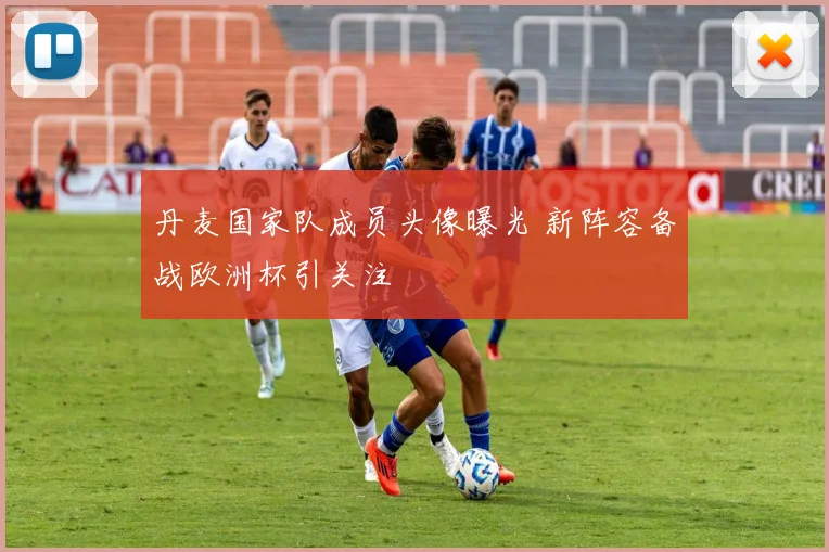 丹麦国家队成员头像曝光 新阵容备战欧洲杯引关注