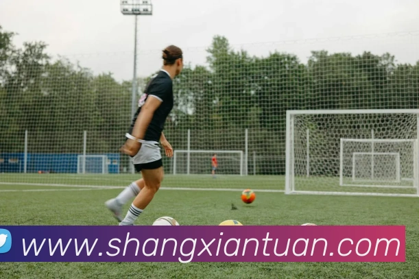 环球体育精英中心平台生态图